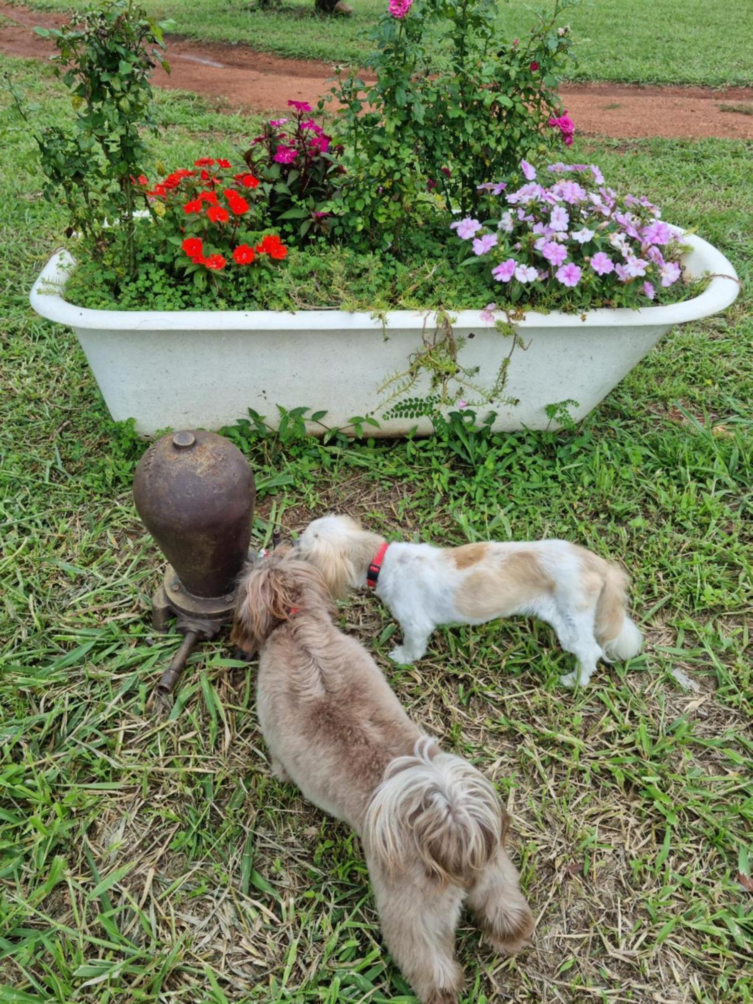 Pousada Aguas Da Canastra Vargem Bonita Ngoại thất bức ảnh